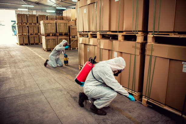 Trusted De Leon, TX Pest Control Experts