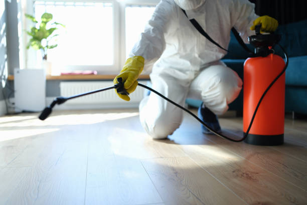Best Pest Prevention Services  in De Leon, TX