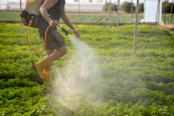 Best Wildlife Control Services  in De Leon, TX